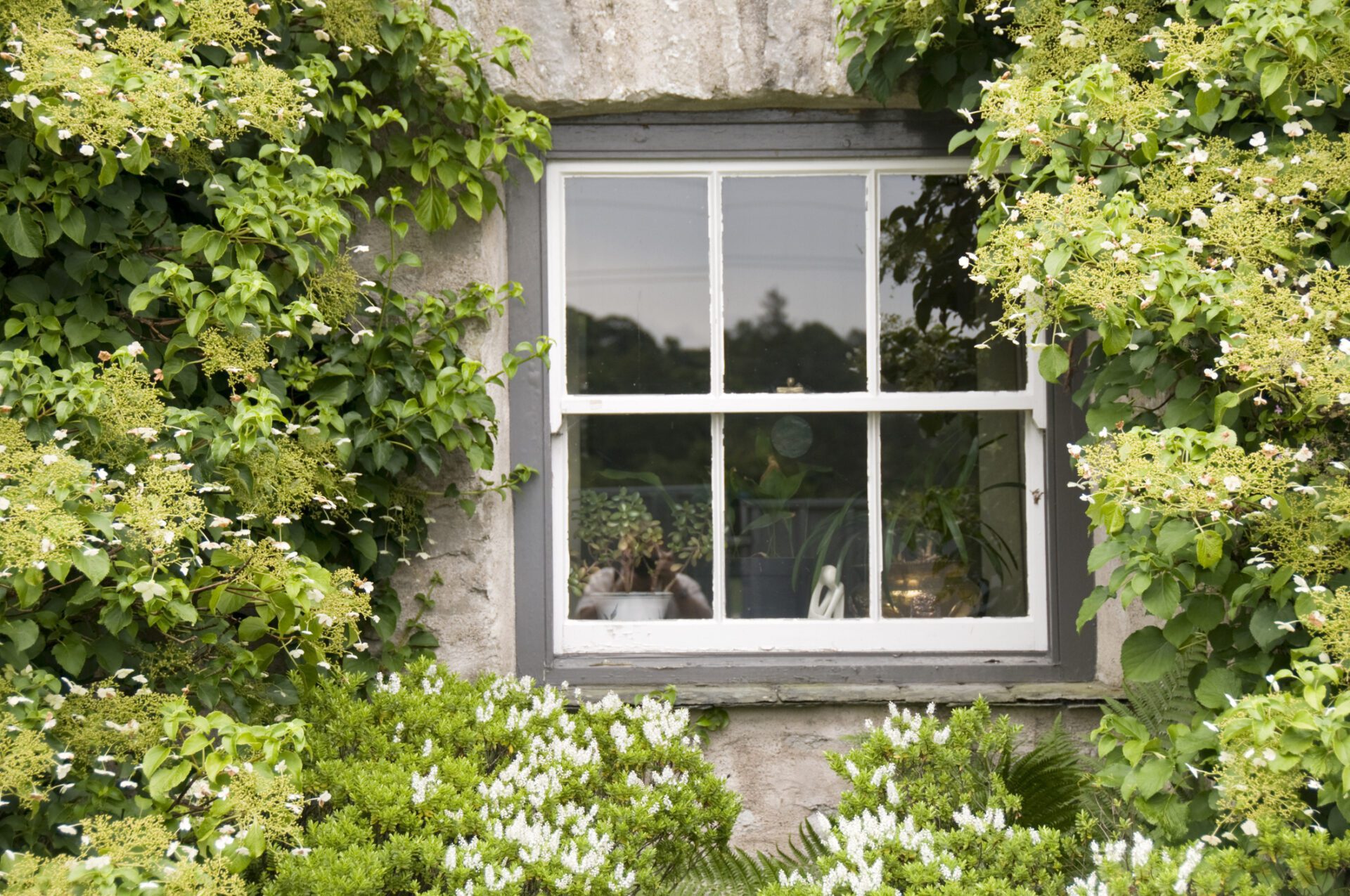 How Much Do Sash Windows Cost?